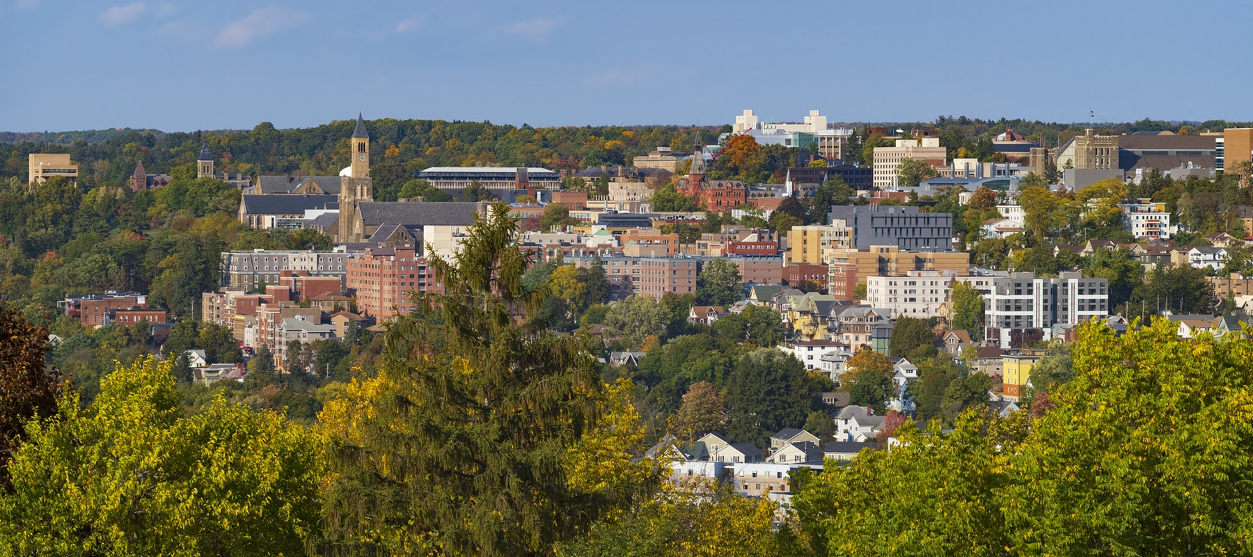 Cornell U